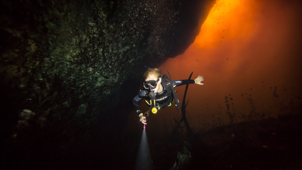 Los mejores sitios de cave diving en el área de Tulum y Playa del Carmen.