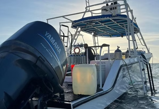 Captura de pantalla 2025-05-15 190121