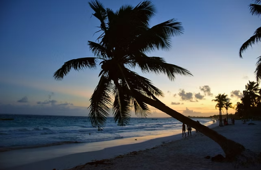 diving buceo cenotes