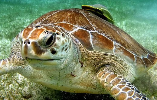 Captura de pantalla 2025-05-15 202030