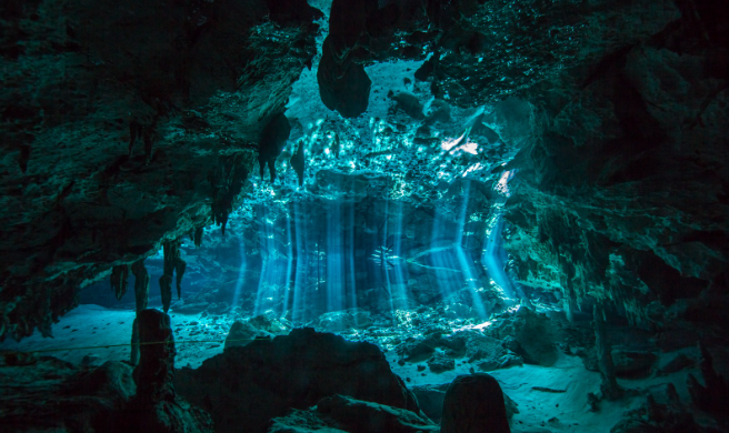 Buceo en Cenotes en Playa del Carmen: Reglas, Requisitos y Secretos para una Inmersión Inolvidable