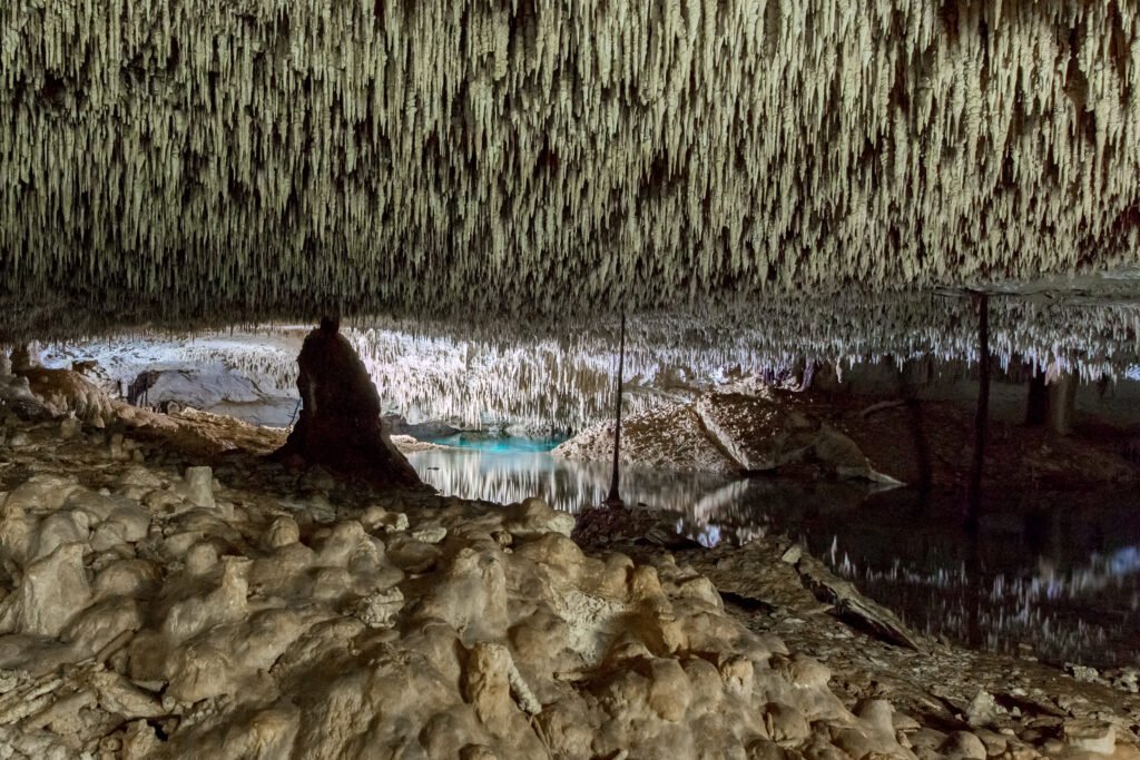 Espectaculares formaciones geológicas durante un buceo en cenotes.
