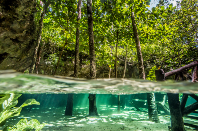 el mejor scuba diving y cave diving cerca de tulum