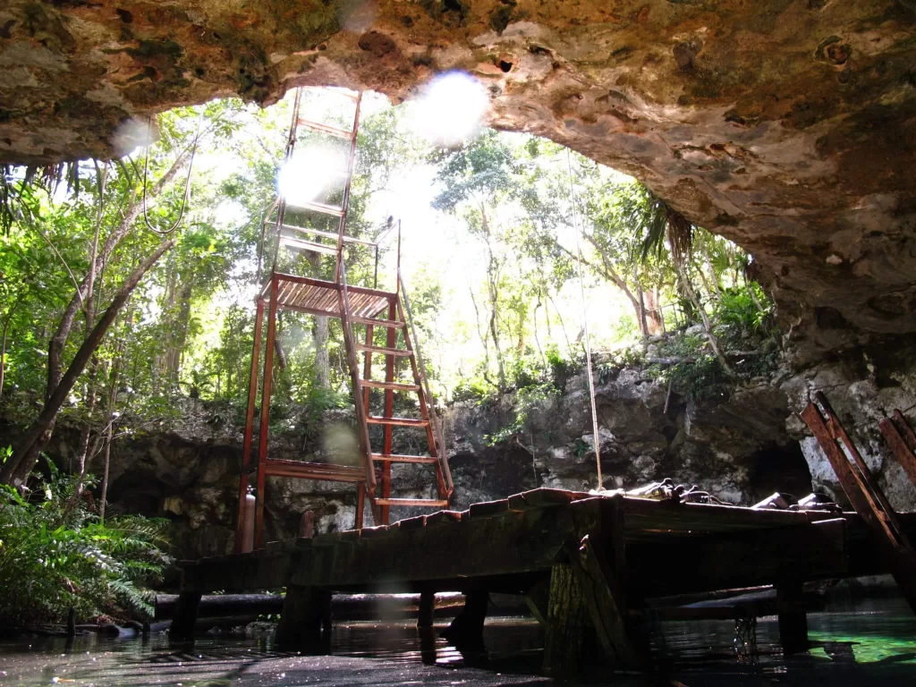 Cenotes diving Tulum: aventura entre raíces y formaciones rocosas.