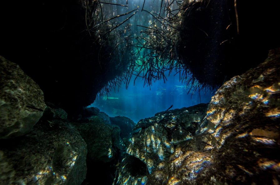 Buceo cenotes Tulum: buceadores bajo los rayos de luz solar.