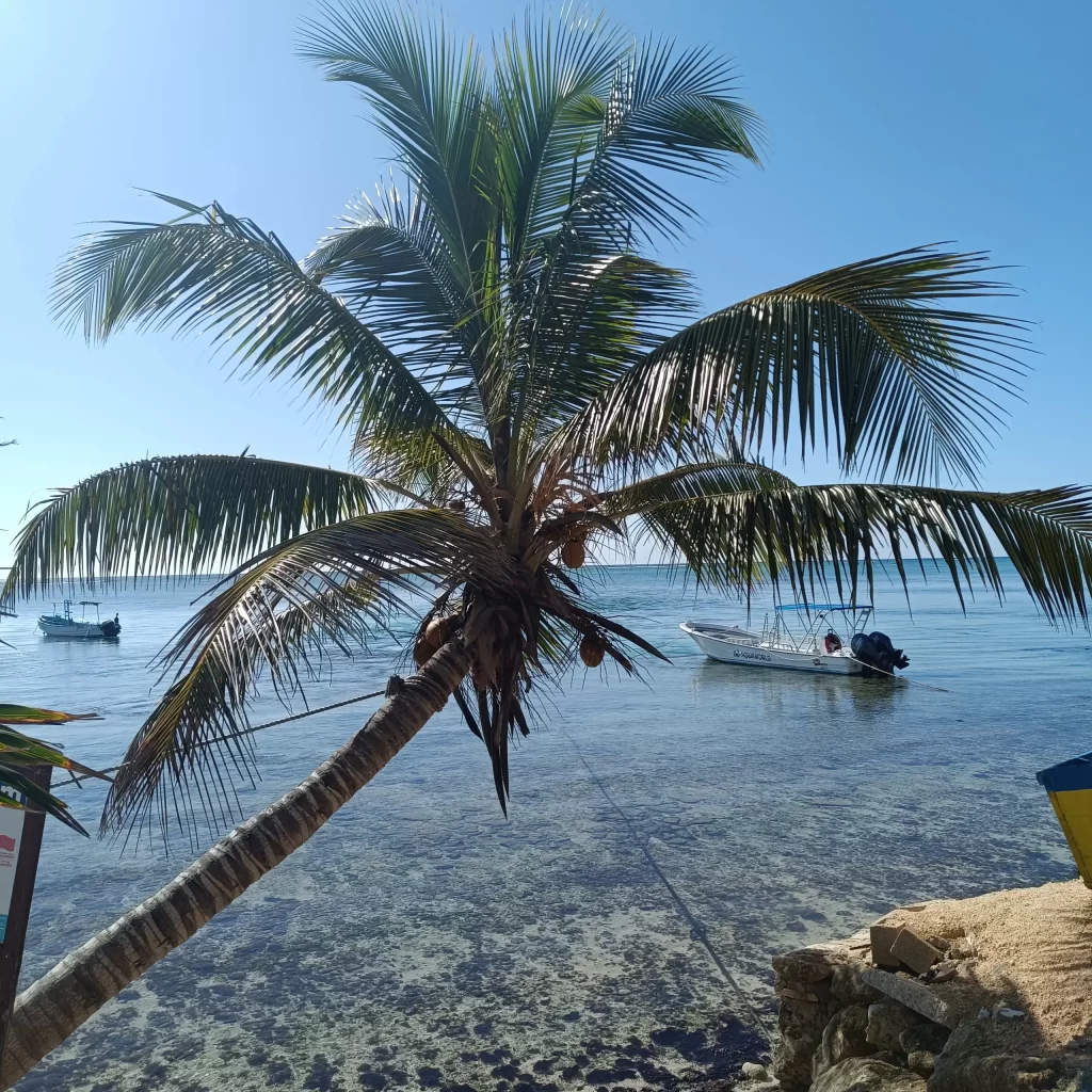 Discover Scuba Diving