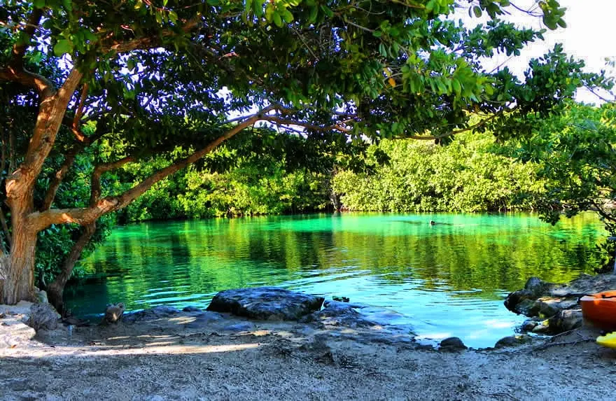 Buceo cenotes Playa del Carmen: explorando las cavernas mayas.