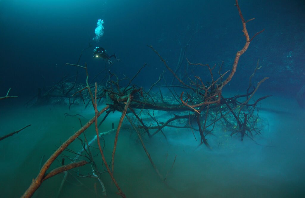 cenotes, cave diving, scuba diving, buceo tulum