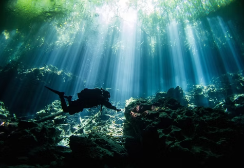 scuba diving tulum