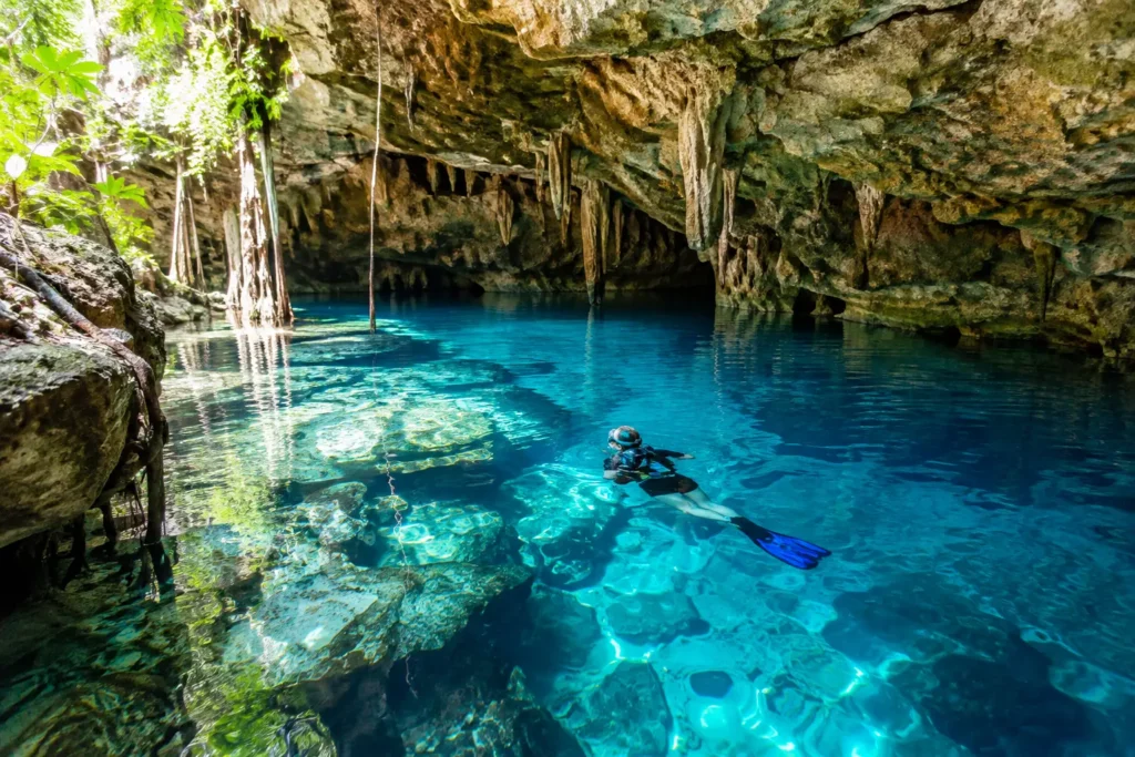 Best Cenotes to Dive Near Playa del Carmen