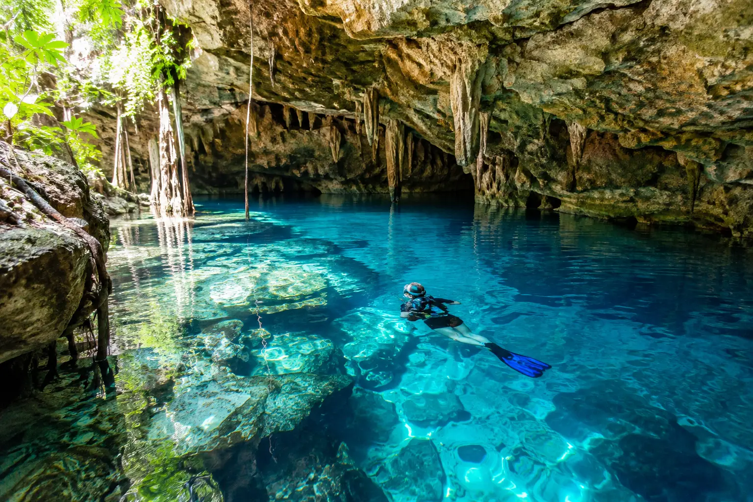 Best Cenotes to Dive Near Playa del Carmen