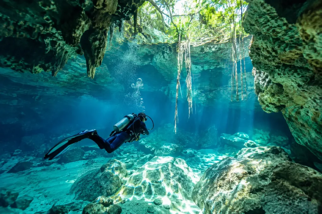 Mejores cenotes para bucear en Tulum: 4 esenciales