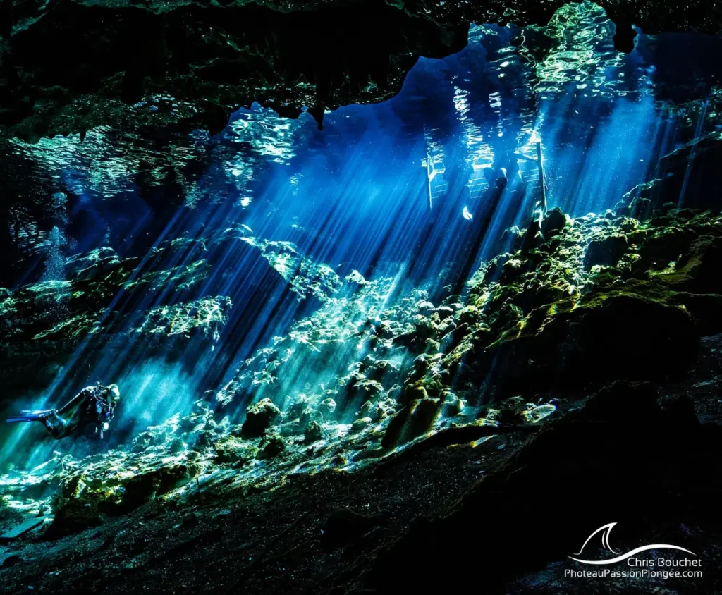 Tour de buceo The Pit: requisitos y reserva