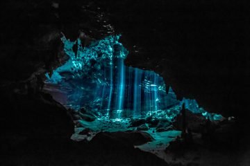 diving cenotes dos ojos